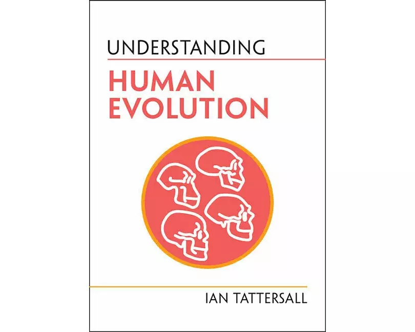 Understanding Human Evolution
