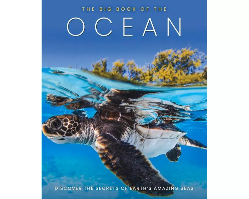 The Big Book of the Ocean