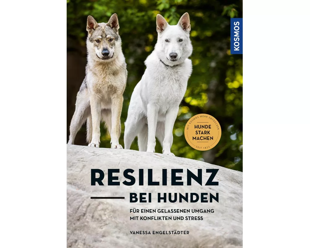 Resilienz bei Hunden