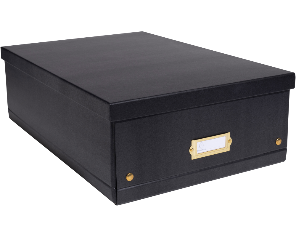 EXACOMPTA Aufbewahrungsbox Neo Deco A3+ 62451E schwarz 33x50x16cm