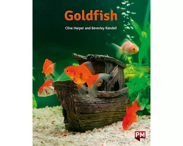 Pm Orange Goldfish N Fic Lev16