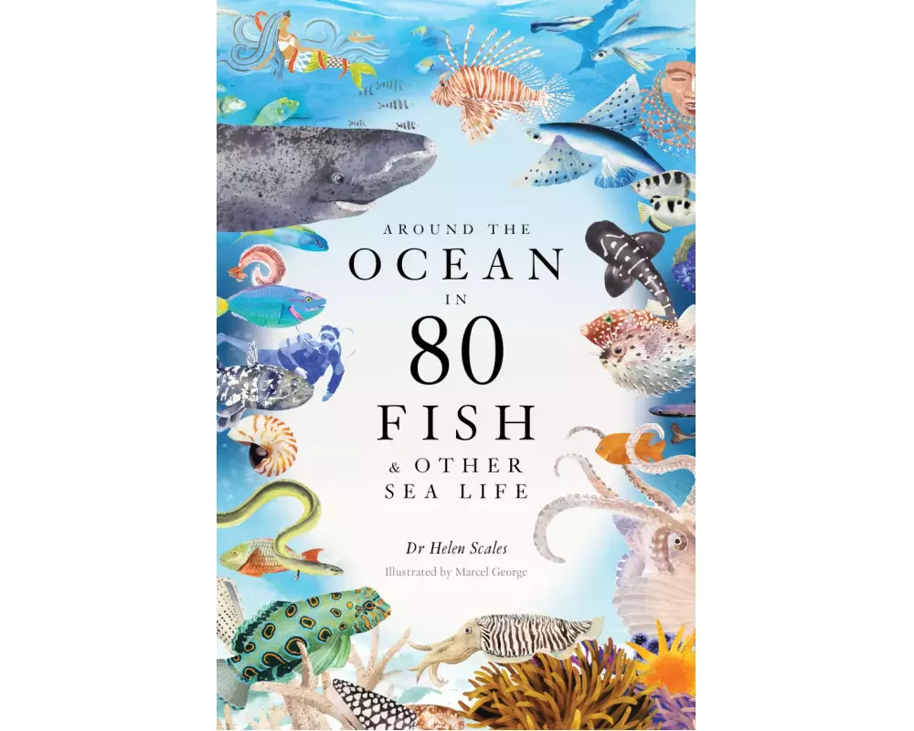 Around the Ocean in 80 Fish and other Sea Life