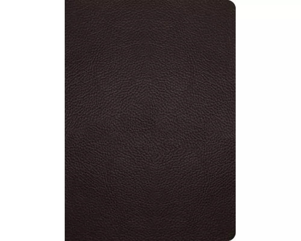 ESV Study Bible, Large Print