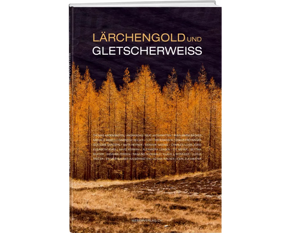 Lärchengold und Gletscherweiss