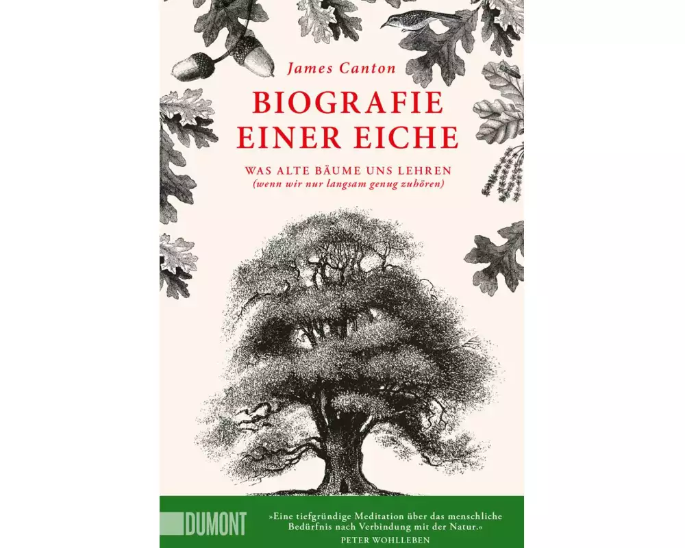 Biografie einer Eiche