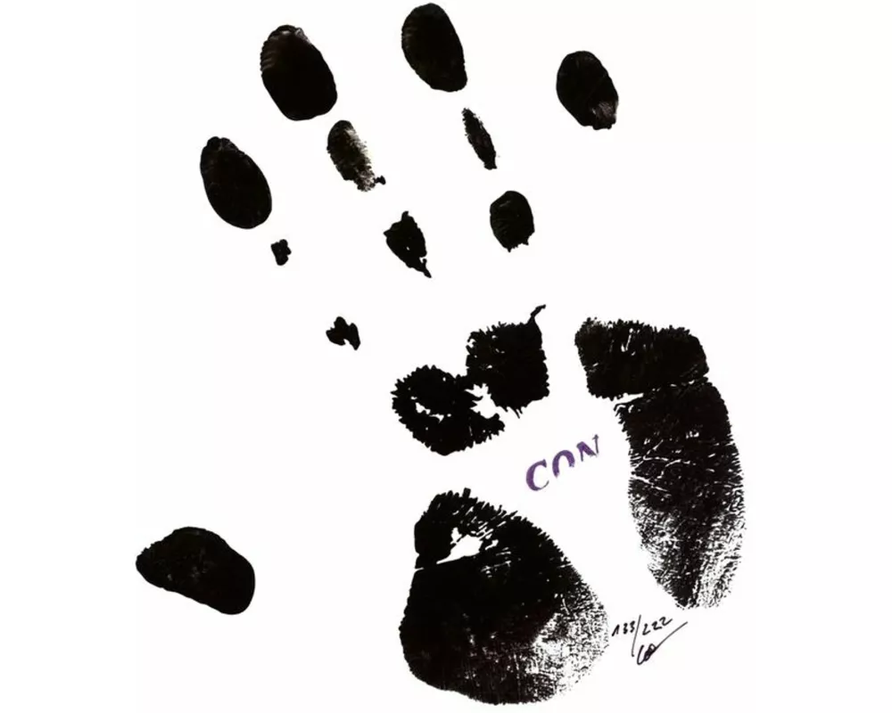 Con 84