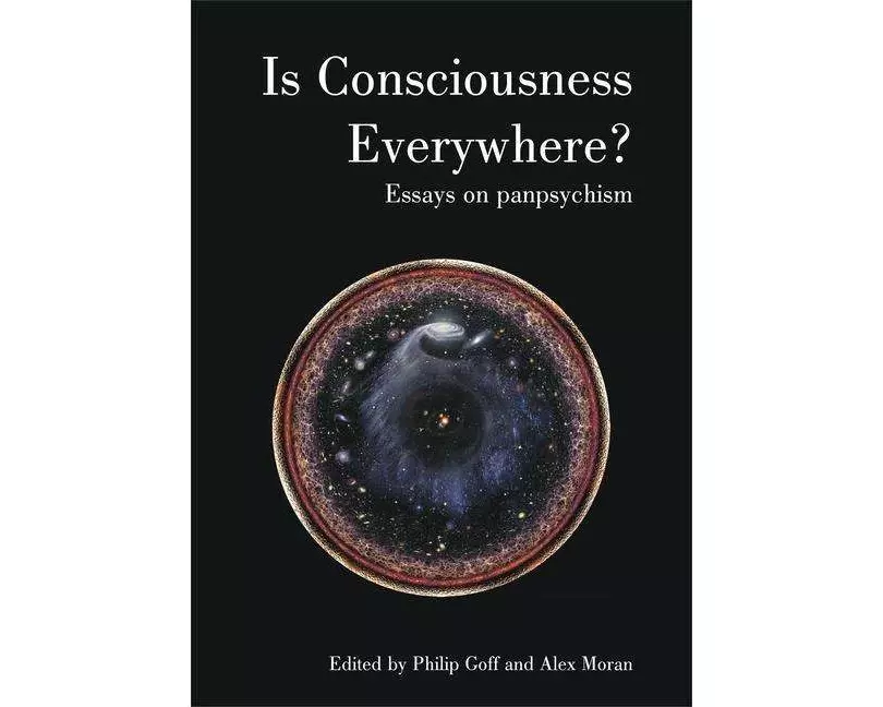 Is Consciousness Everywhere?