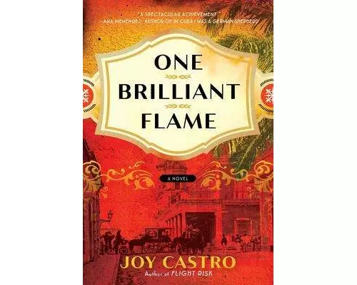 One Brilliant Flame