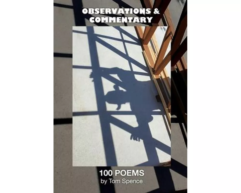 Observations and Commentary