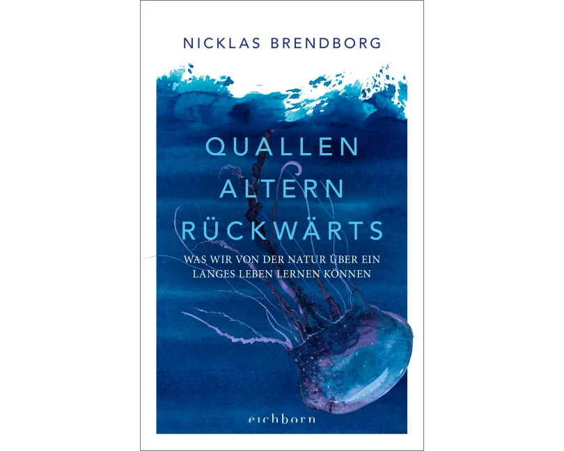 Quallen altern rückwärts