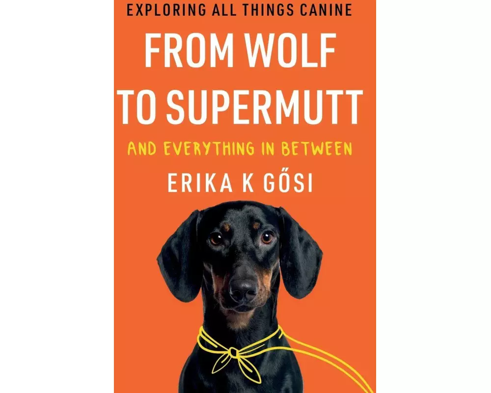 From Wolf to Supermutt and Everything In Between