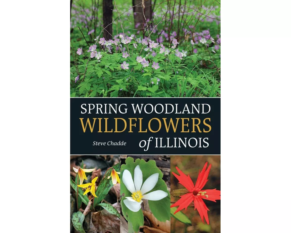 Spring Woodland Wildflowers of Illinois