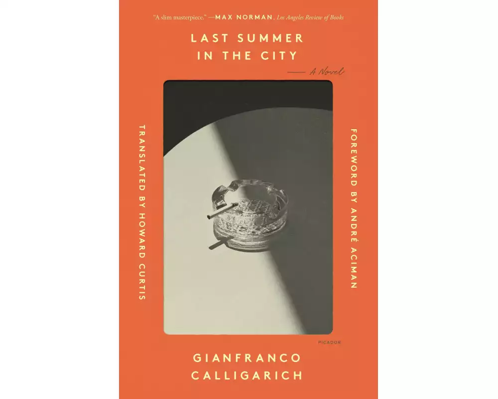Last Summer in the City