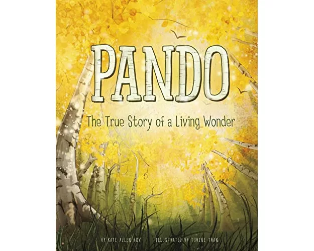 Pando