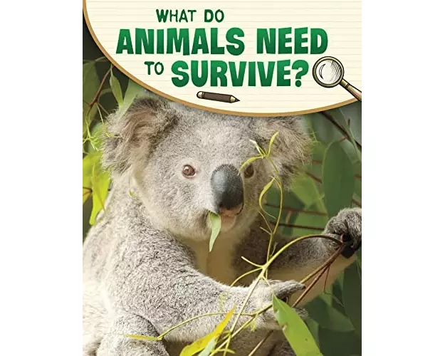 What Do Animals Need to Survive?