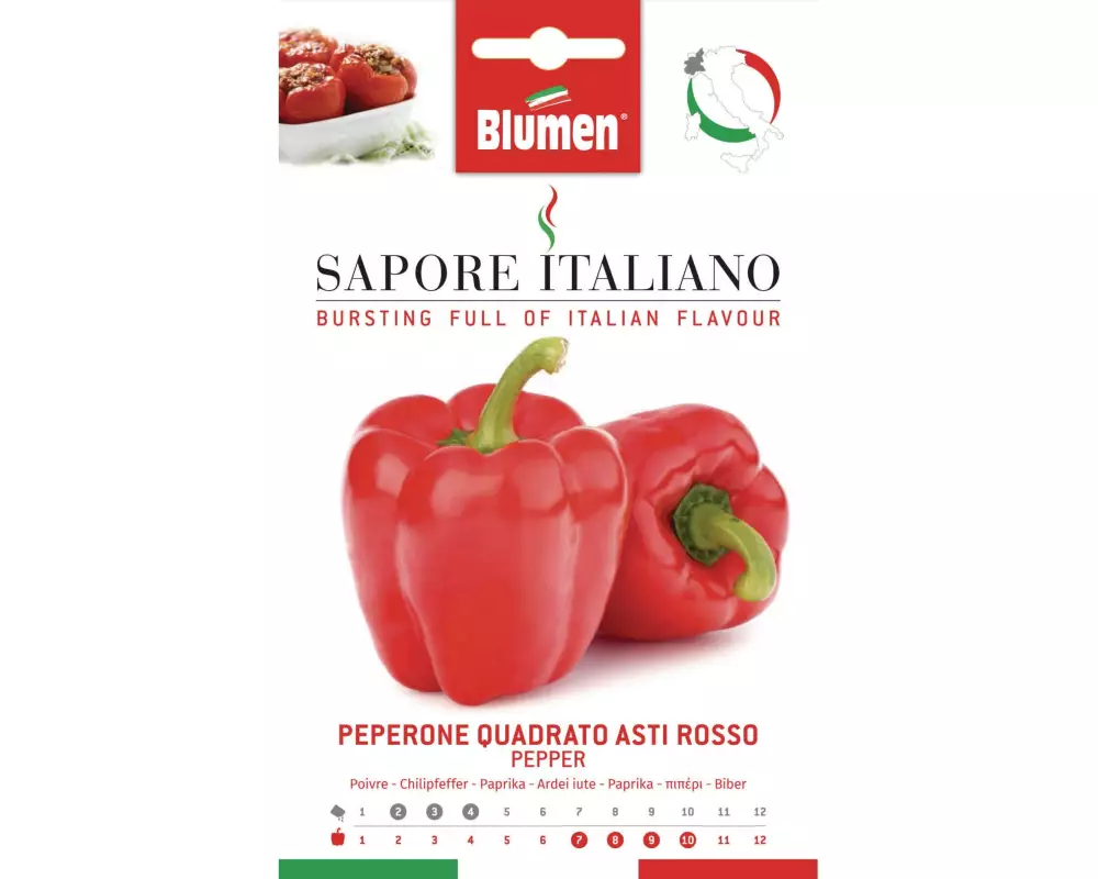 Blumen Samen Paprika Quadrato Asti Rosso