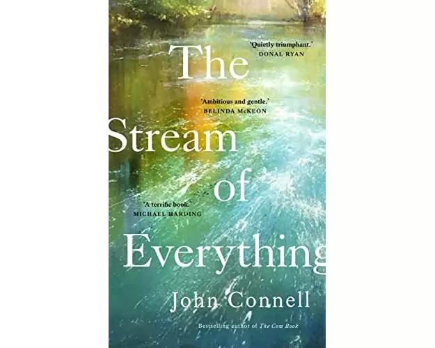 The Stream of Everything