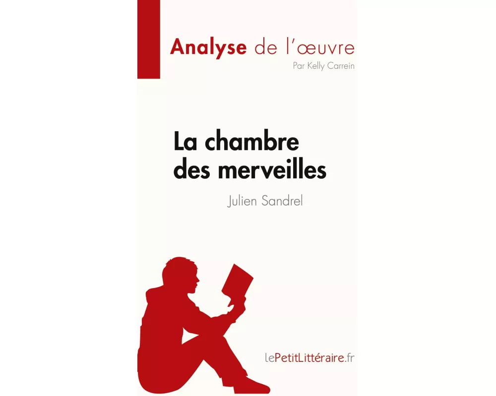 La chambre des merveilles de Julien Sandrel (Analyse de l'uvre)