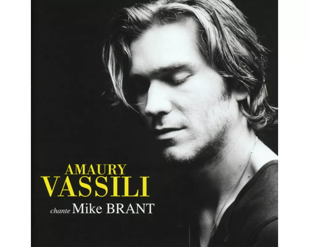 Amaury Vassili Chante Mike Brant