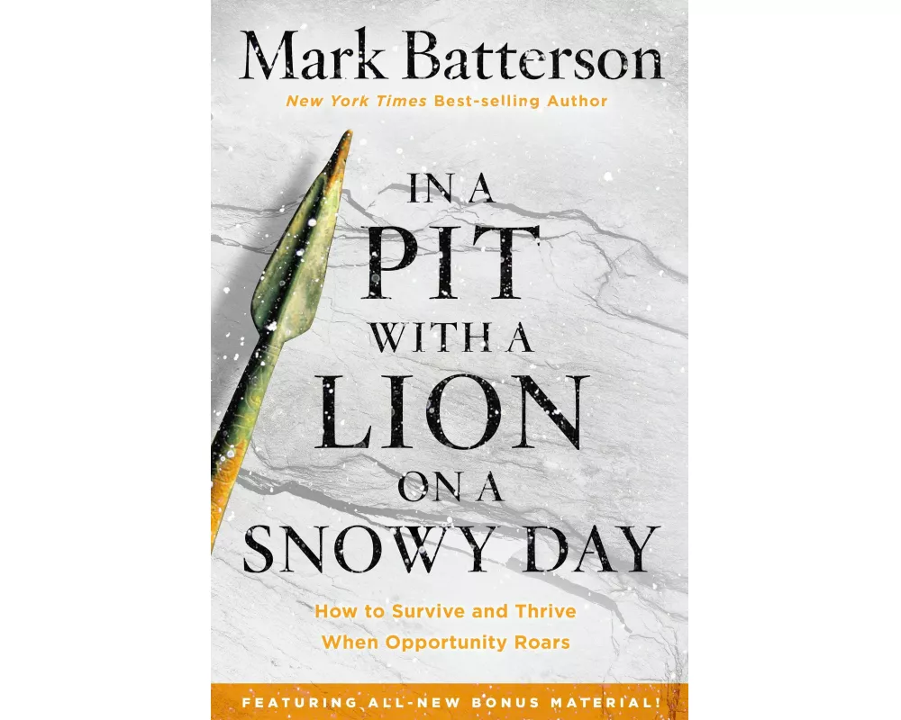 In a Pit with a Lion on a Snowy Day