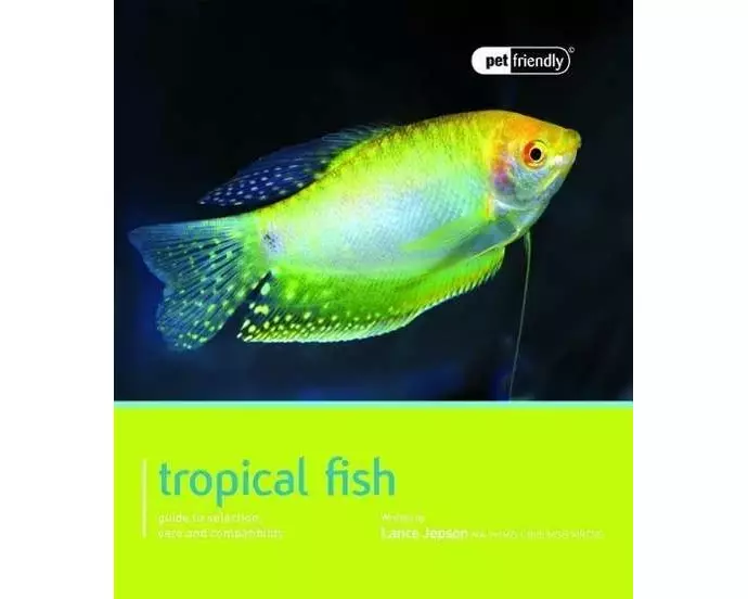 Tropical Fish - Pet Friendly