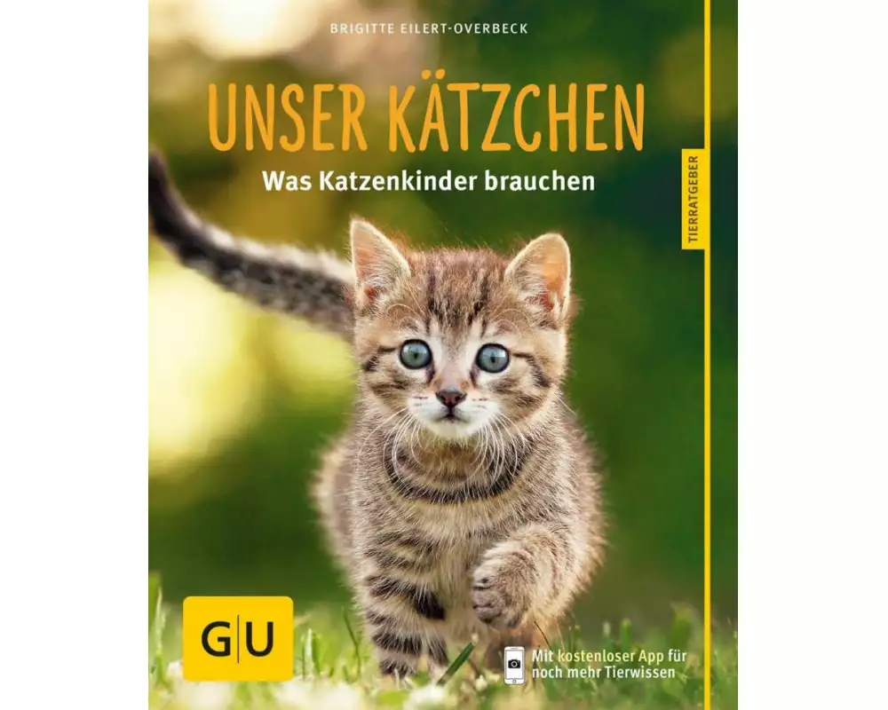 Unser Kätzchen