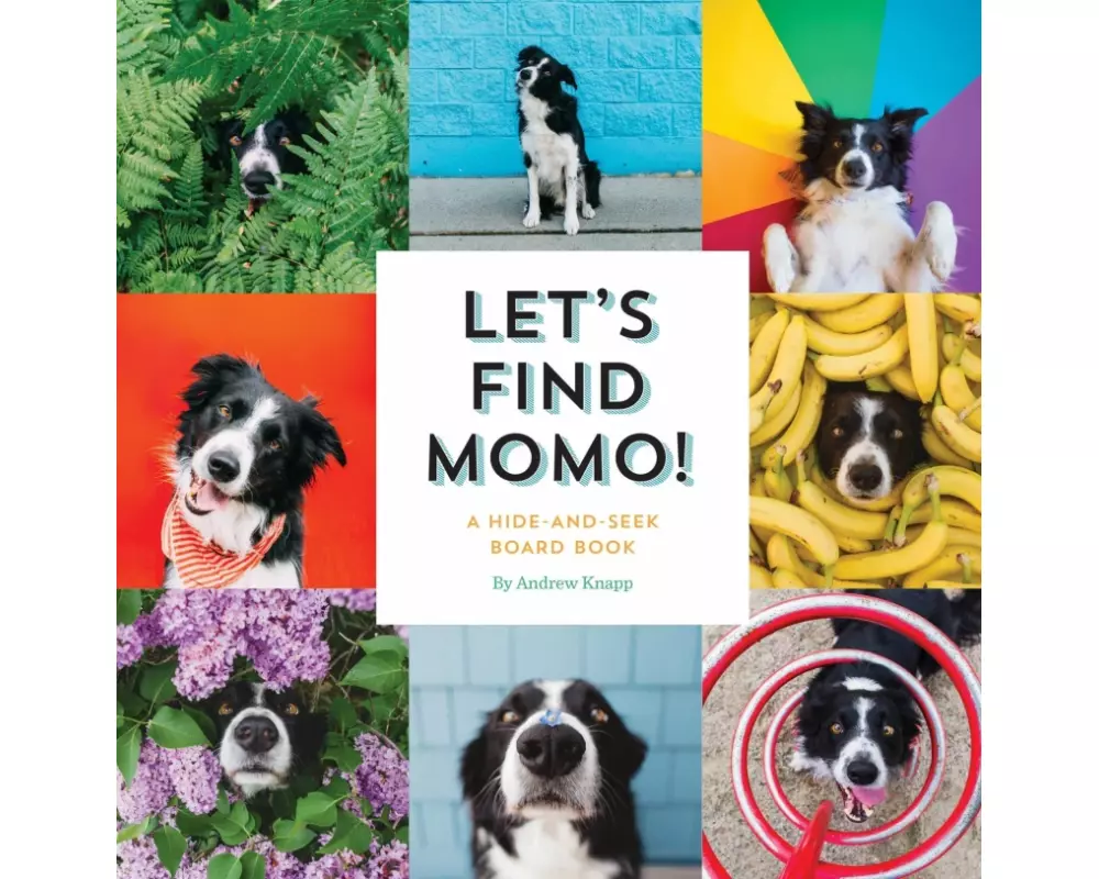 Let's Find Momo!