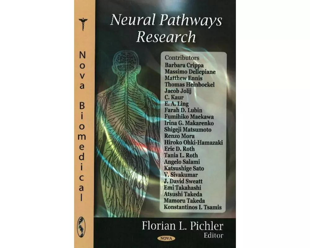 Neural Pathways Research