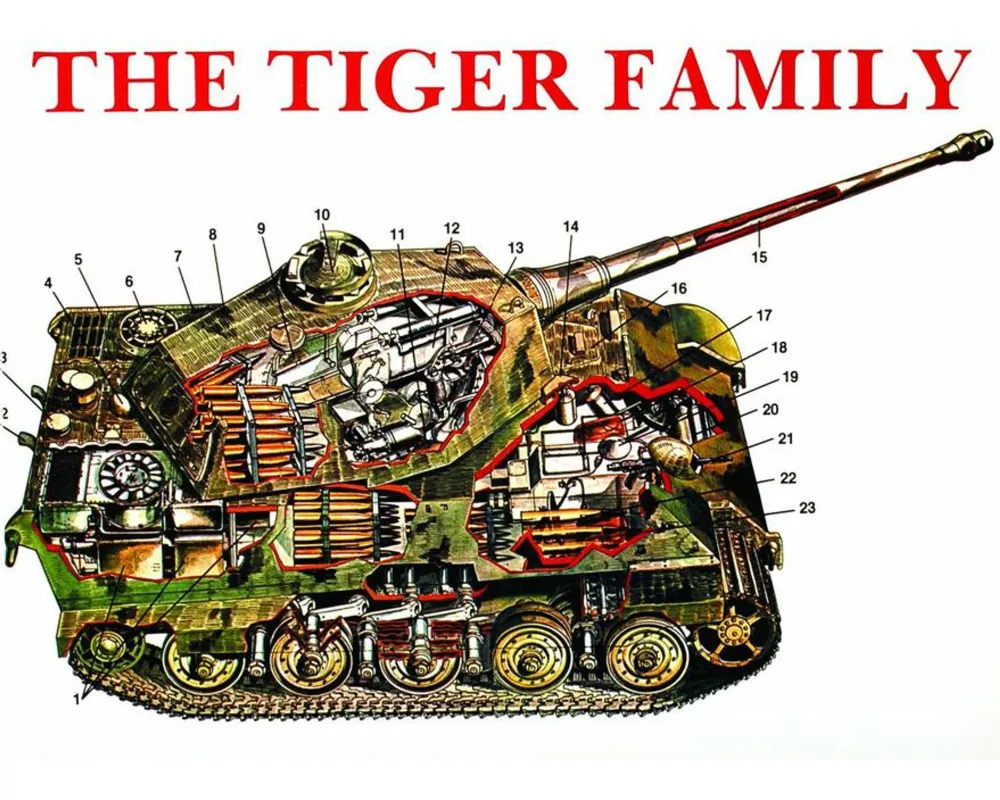The Tiger Family