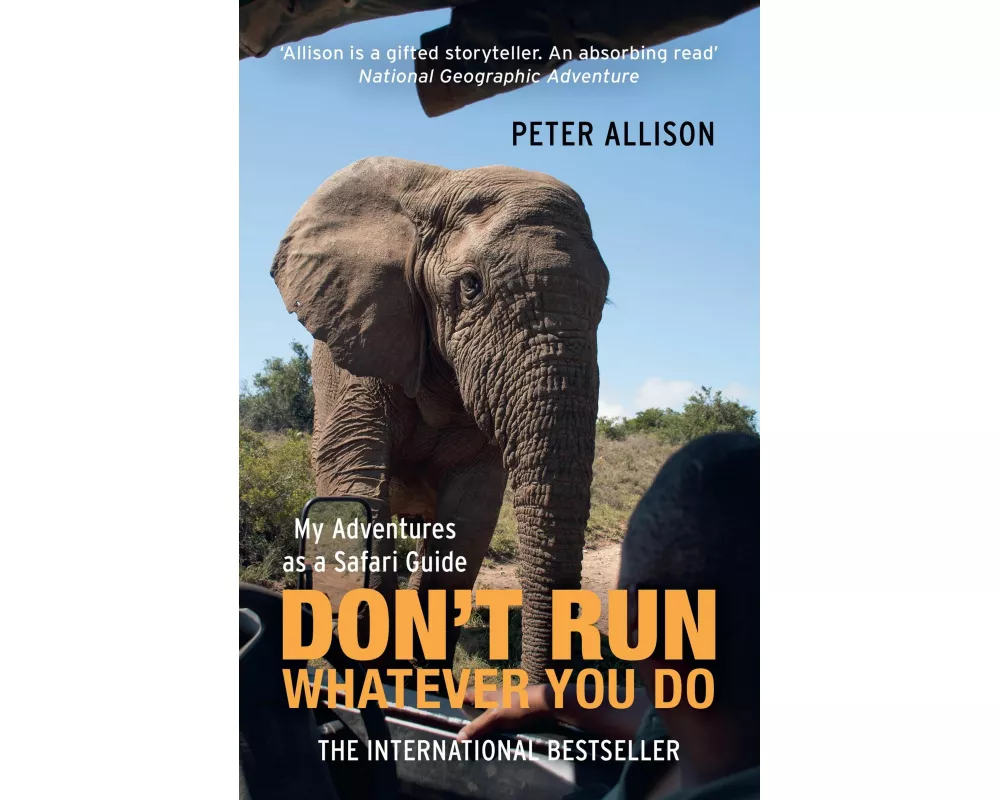 Don't Run, Whatever You Do