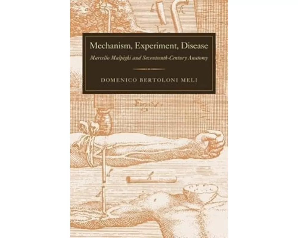 Mechanism, Experiment, Disease