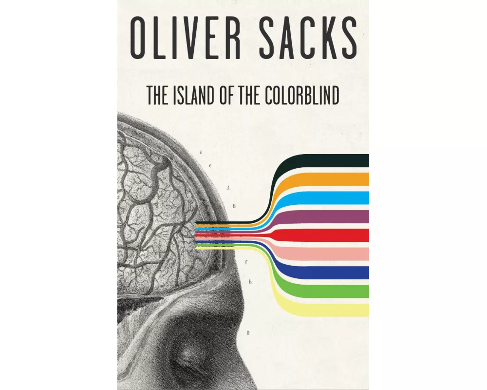 The Island of the Colorblind