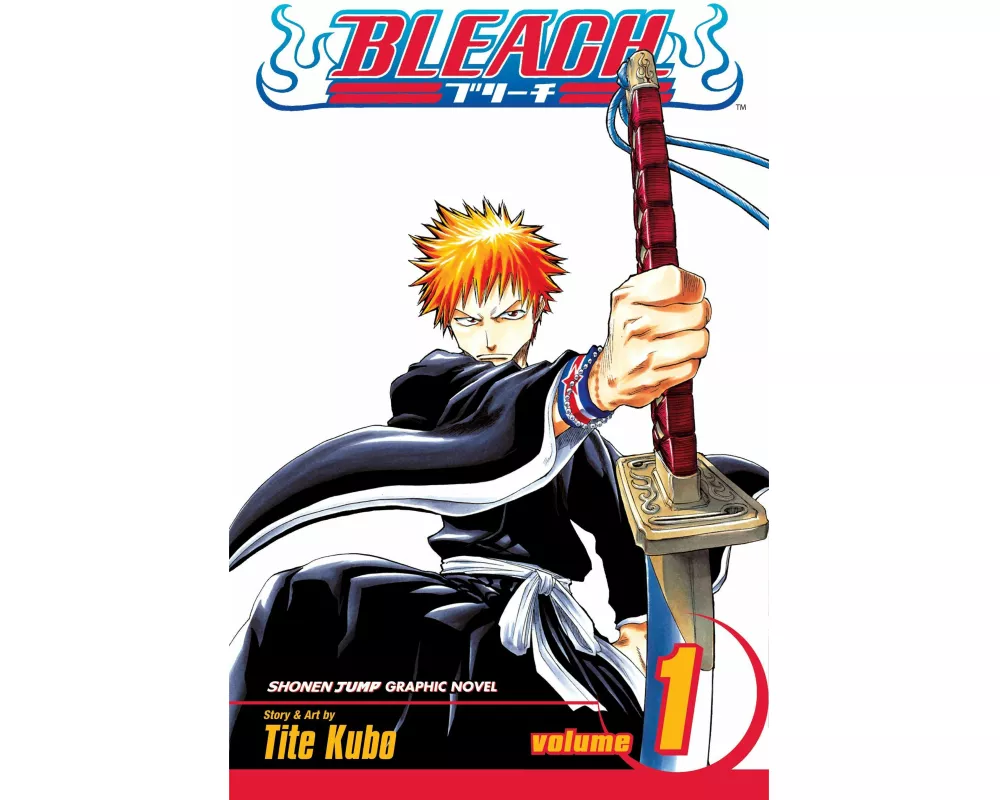 Bleach Volume 1