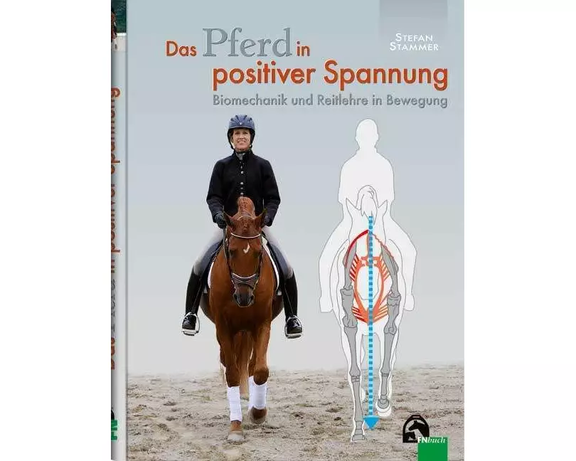 Das Pferd in positiver Spannung