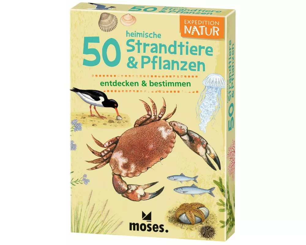 50 heimische Strandtiere & Pflanzen