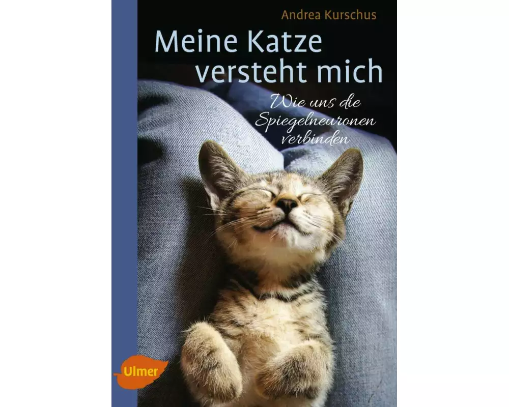 Meine Katze versteht mich