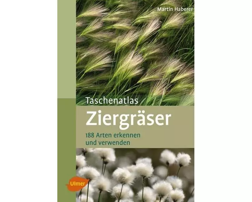 Ziergräser