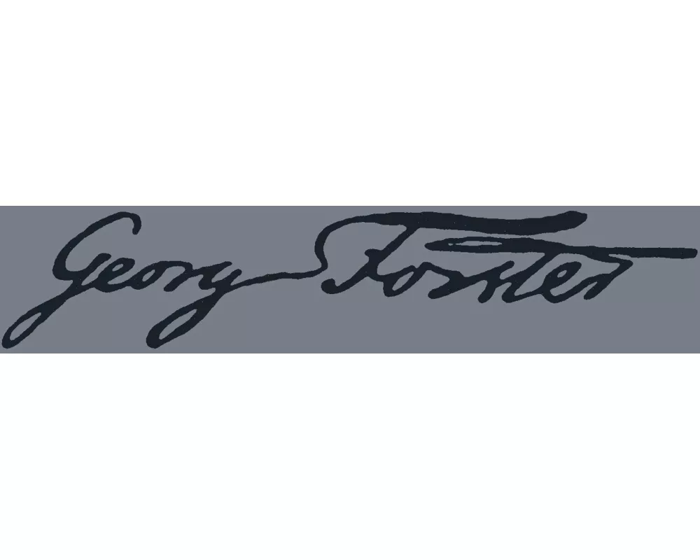 Briefe an Forster