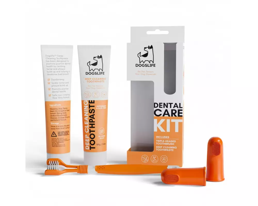 DogsLife Zahnreinigung Dental Kit