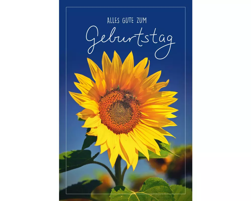 ABC Glückwunschkarte Geburtstag 12.5 x 17.6 cm