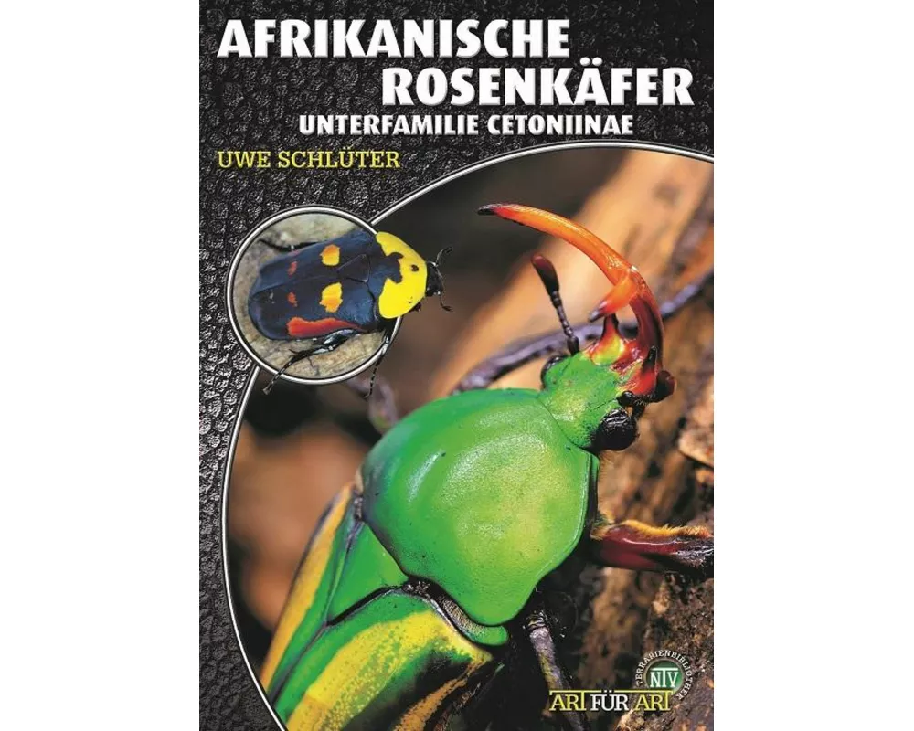 Afrikanische Rosenkäfer