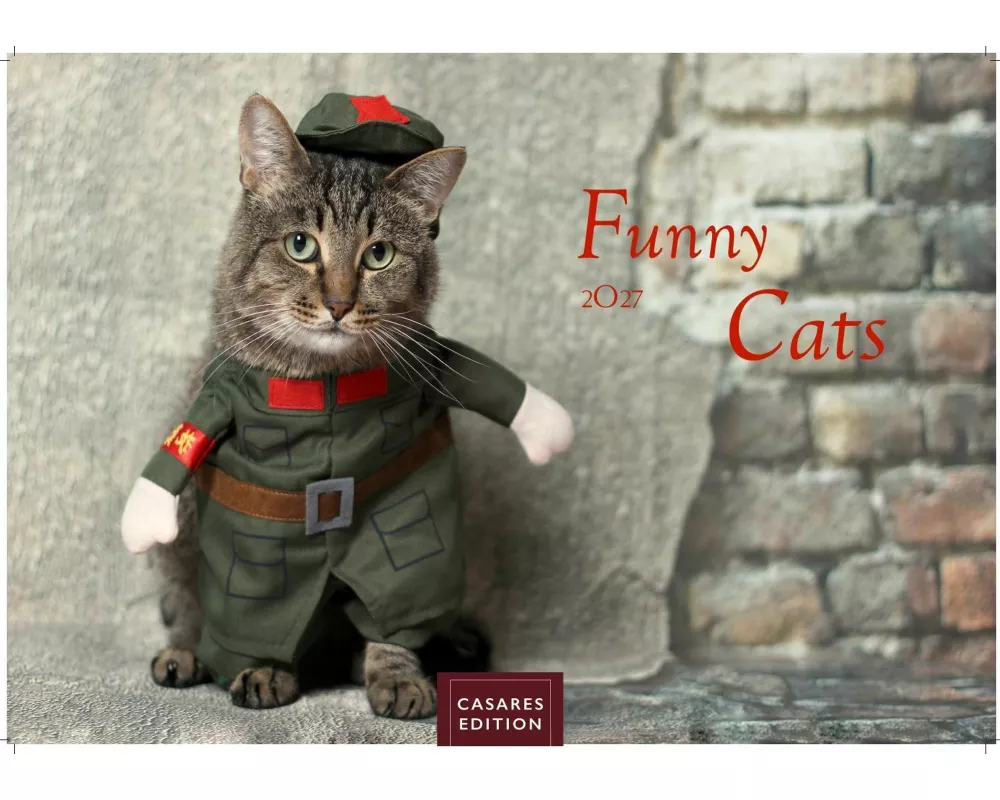 Funny Cats Kalender 2027 - Wandkalender | Fotokalender Tierkalender 24x35cm - Witziger Katzenkalender