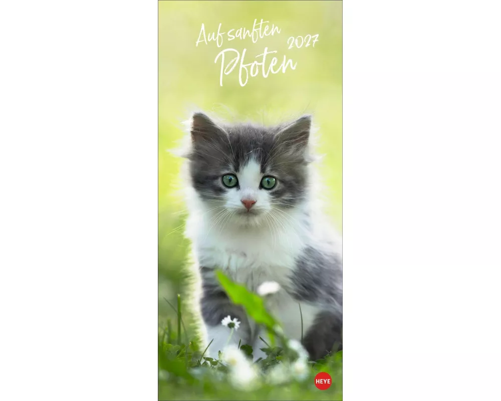 Katzen slim - Auf sanften Pfoten Kalender 2027