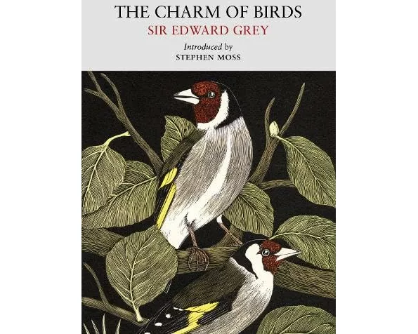 The Charm of Birds