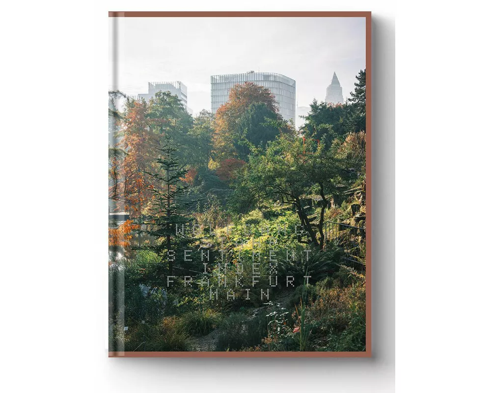 SENTIMENT INDEX Frankfurt Main