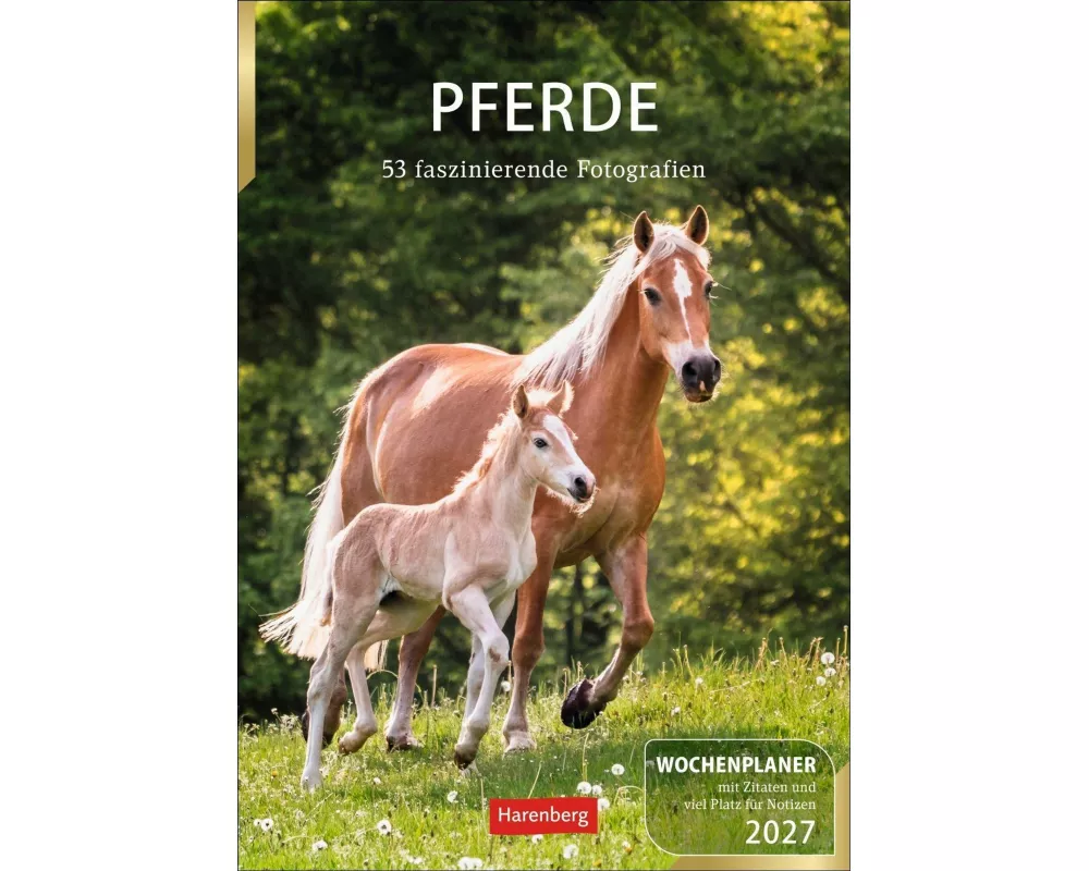 Pferde Wochenplaner 2027 - 53 faszinierende Fotografien