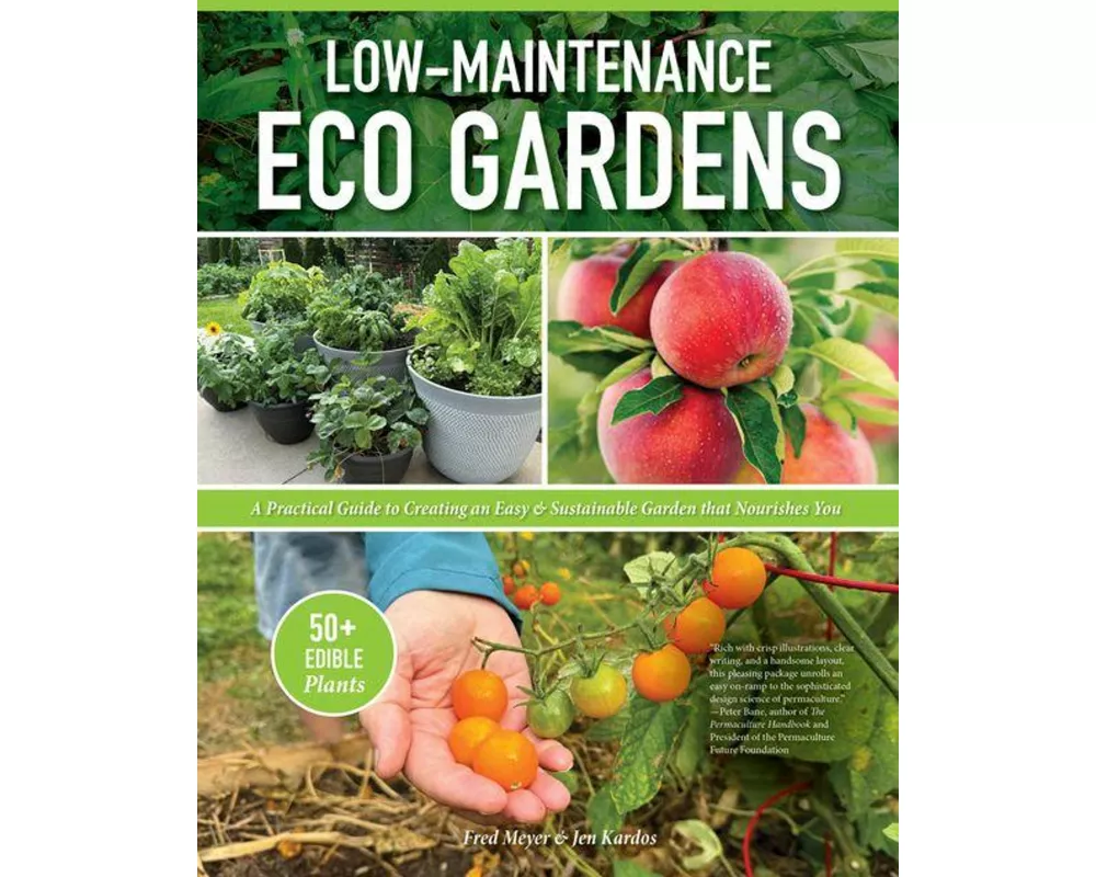 Low-Maintenance Eco Gardens