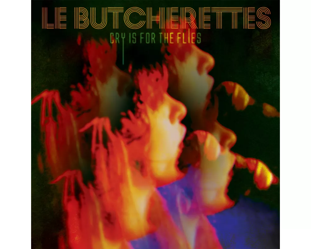 Cry Is For The Flies