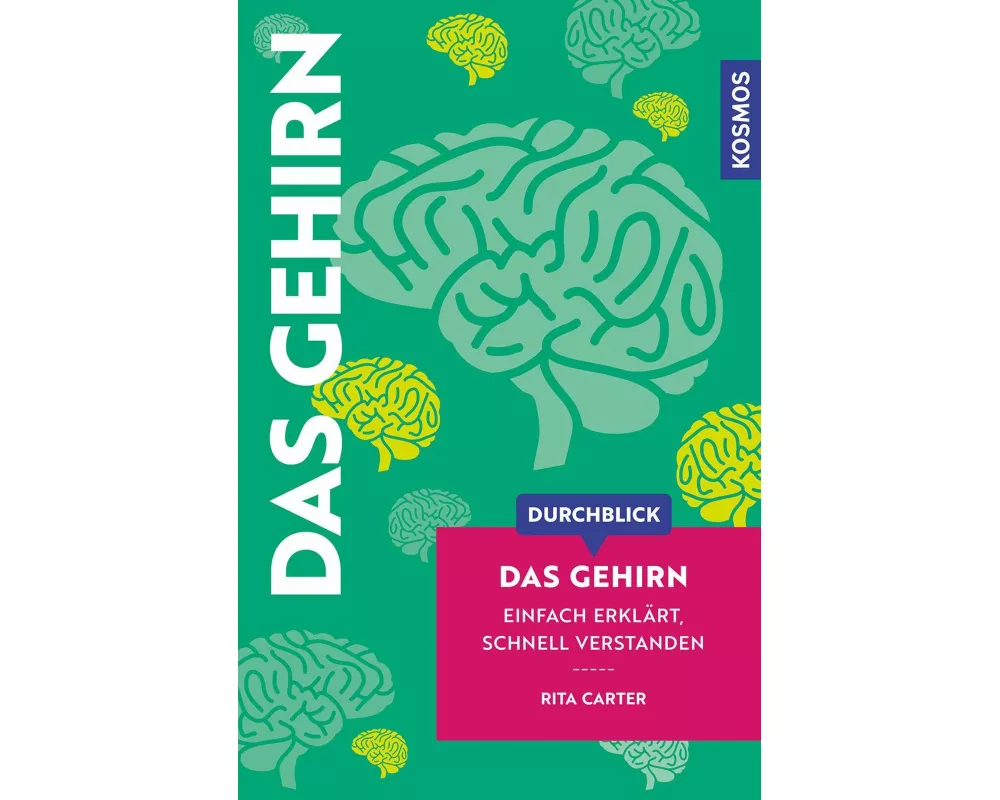 Durchblick Das Gehirn