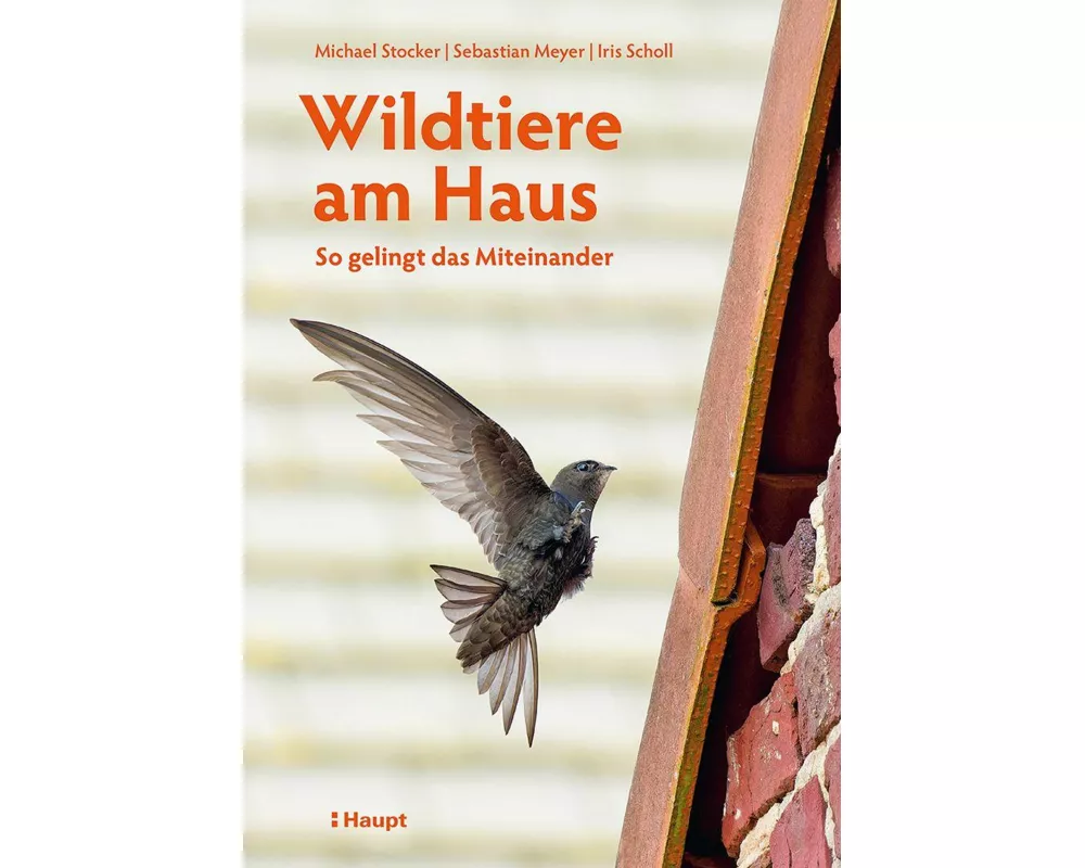 Wildtiere am Haus